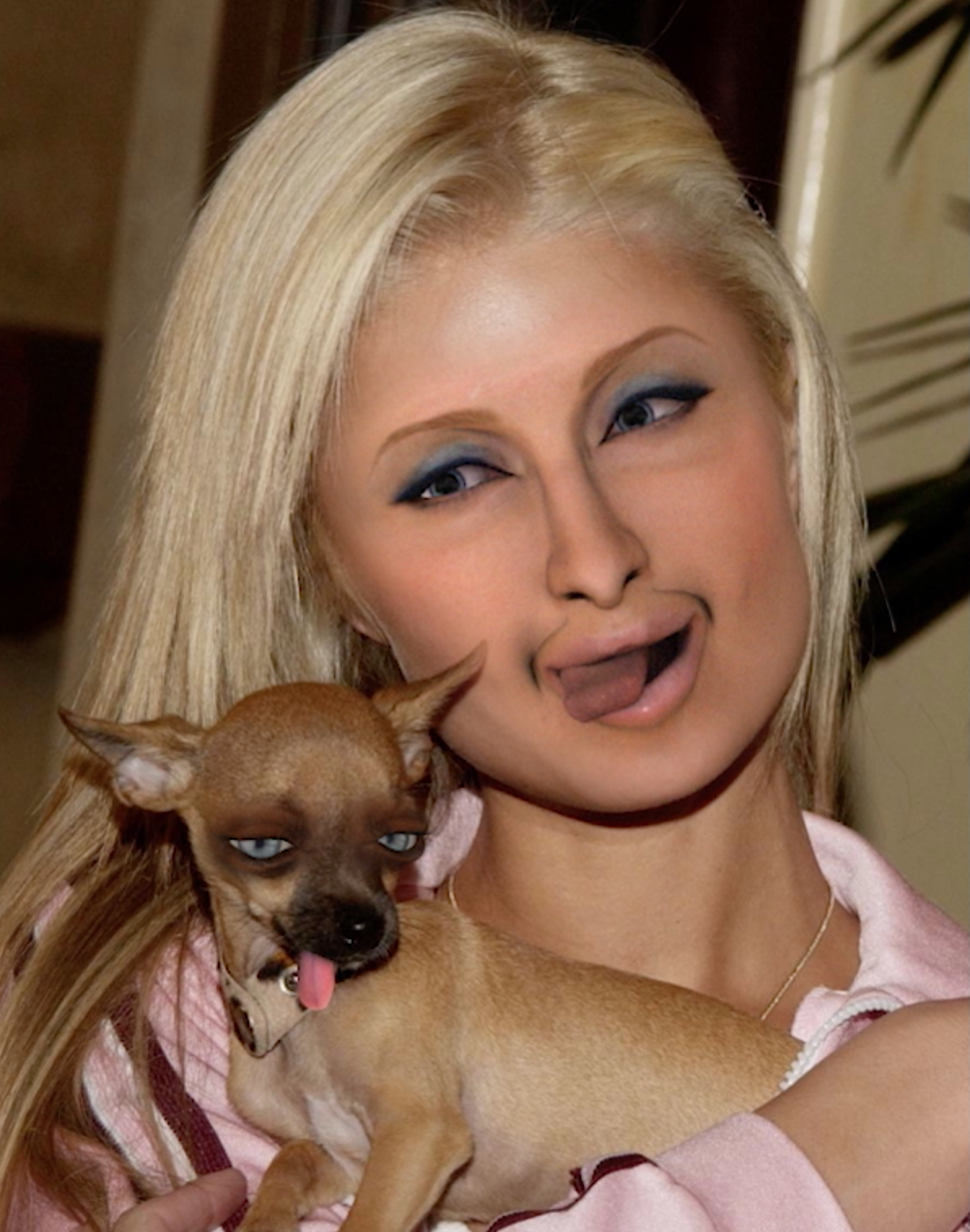 Claudia Mate